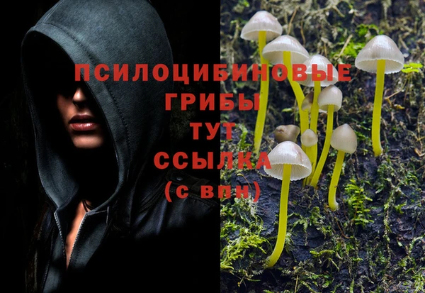 крисы Переславль-Залесский
