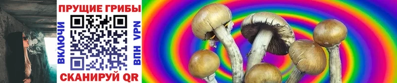 Галлюциногенные грибы Magic Shrooms  Людиново 